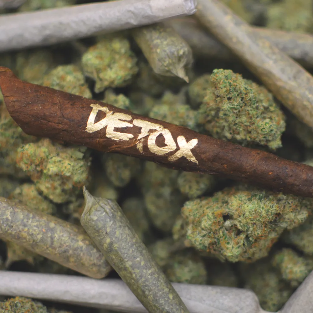 detox-image